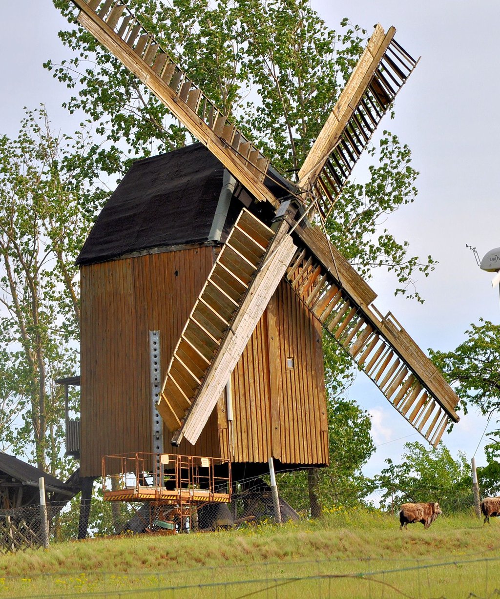 Die noch funktionstüchtige Bockwindmühle steht seit 1984 auf dem Weinberg zwischen Lostau und Hohenwarthe.