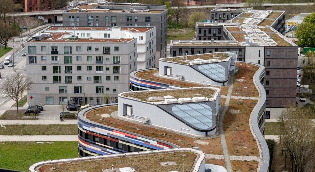Gründächer in Hamburg: Auf ihnen gedeiht biologische Artenvielfalt und sie helfen, Stadterwärmung durch Klimawandel zu dämpfen.