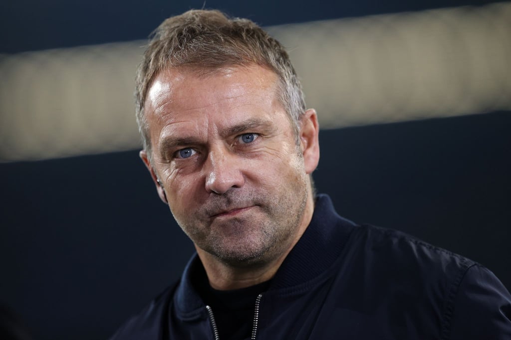 Bundestrainer Hansi Flick vor dem Testspiel gegen Israel.
