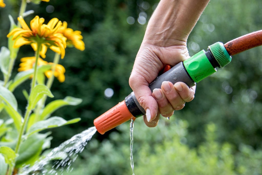 Wer beim Gießen im Garten oder auf dem Balkon Trinkwasser verwendet, sollte auf den Verbrauch achten.