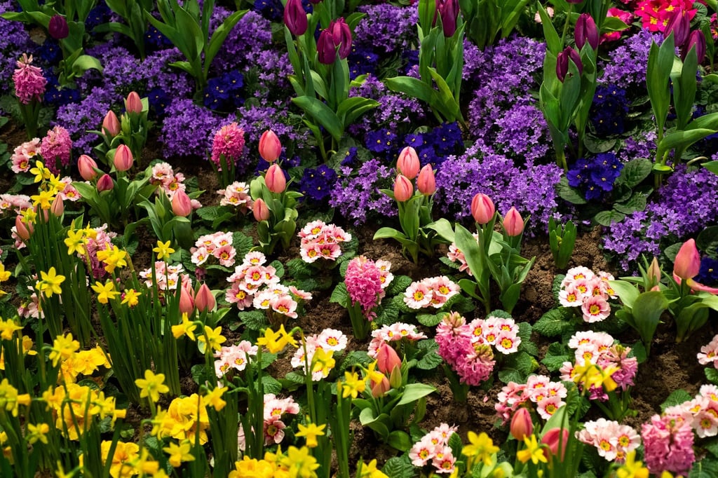Beete voller Frühblüher sind nur eine Zeit lang schön.