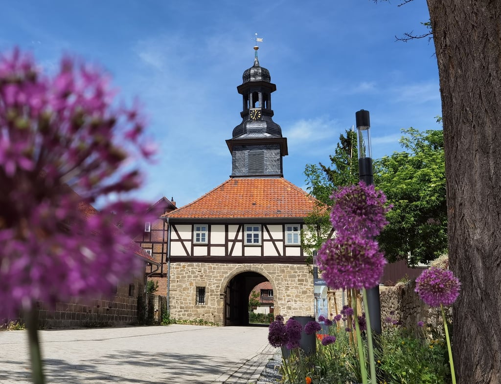Das Torhaus des Klosters Michaelstein in Blankenburg präsentiert sich seit kurzem an einer neu geplasterten Straße und einer prächtigen Frühjahrsbepflanzung.