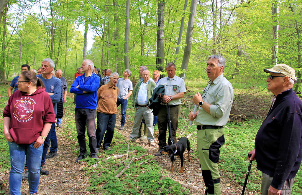 Revierförster Ralf Köhler (2. v.r.) erklärte den Waldbesitzern beim Rundgang, wie sich der Baumbestand im Fallstein verjüngt.