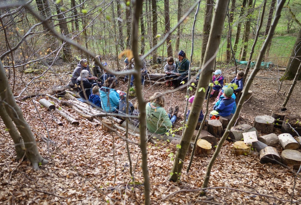 Der Tag im Waldkindergarten beginnt mit einem Morgenkreis.