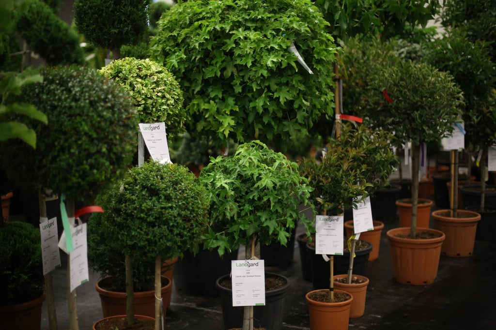 Wer seid ihr denn? Auf vielen Etiketten sind auch oder ausschließlich die botanischen Pflanzennamen vermerkt.
