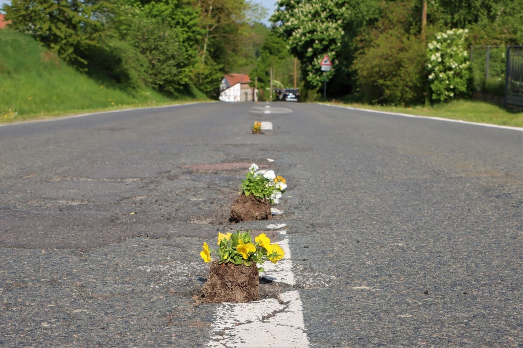 Besonderer Blumenschmuck: So sah die Landesstraße vom Kunstteich in Richtung Wolfsberg vor wenigen Tagen aus.