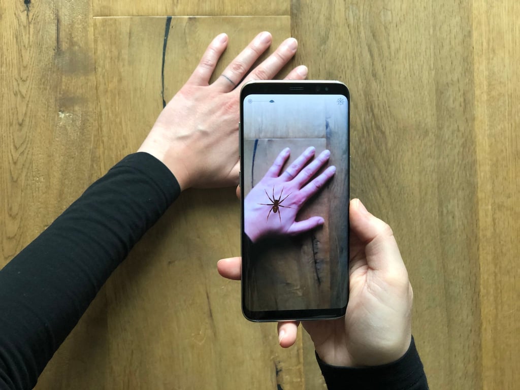 Virtuelle Realität: Diese Spinne lebt nur im Smartphone.
