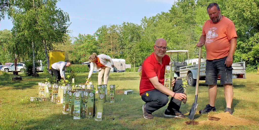 Matthias Großmann (rechts) und Carsten Brandt pflanzen eine Erle. Weitere 199 Bäumchen wurden im Anschluss am Bittkauer Family-Camp Kellerwiehl gesetzt.