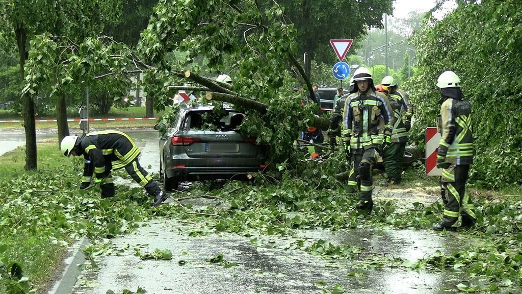 Feuerwehrleute beseitigen in Ahaus (NRW) einen durch Gewitterböen umgestürzten Baum von einem Auto.