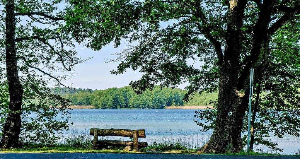 Idylle am Großen Lausiger Teich: Dort befindet sich ein Campingplatz.