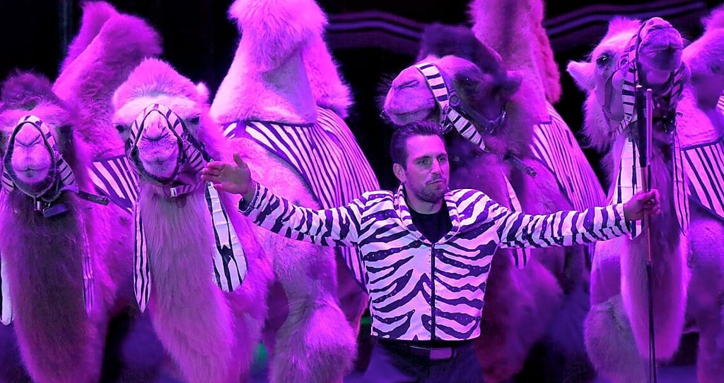 Vom 19. bis 29. Mai gastiert der Circus Arena in Bitterfeld-Wolfen und baut seine Zeltanlagen auf dem Festplatz auf dem Festplatz Wolfen-Nord (Strasse der Chemiearbeiter) auf.