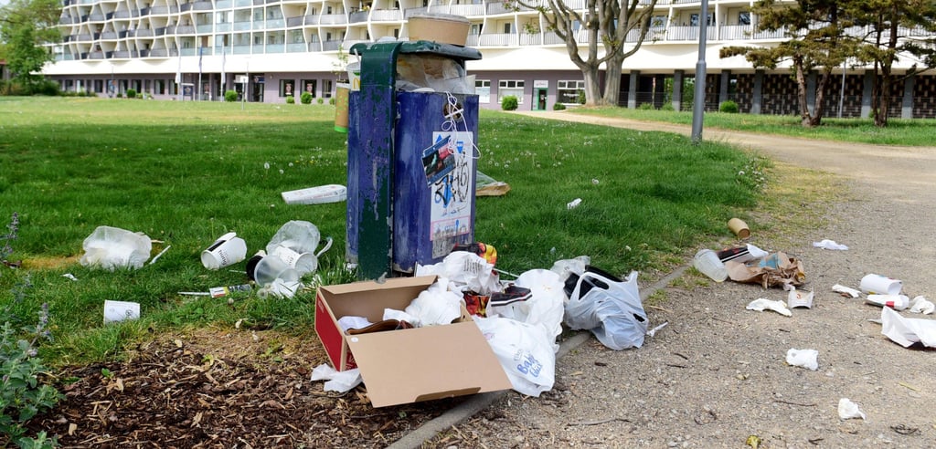 Bilder von überquellenden Papierkörben, wie hier in der Magdeburger Innenstadt, sollen möglichst aus dem Stadtbild verschwinden.
