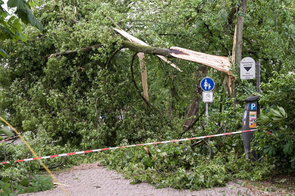 Ein Tornado in Lippstadt hat am Freitag, 20.05.2022, in Lippstadt Bäume entwurzelt.