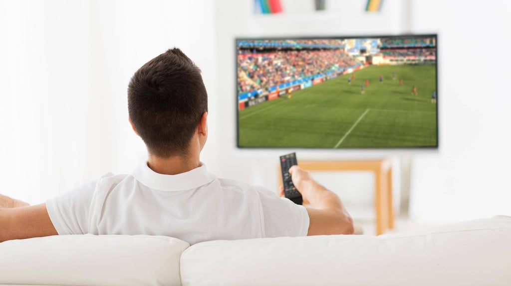 Ein Zuschauer beim Fußball gucken.