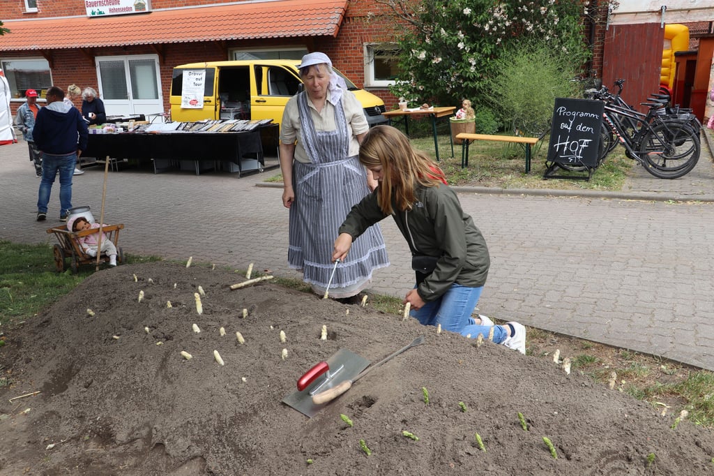 Bei Ute Braune (li.) von der Gruppe „Anno dazumal“ erfuhren Interessierte, wie der Spargel gestochen wird und durften sich auch selbst mal ausprobieren.