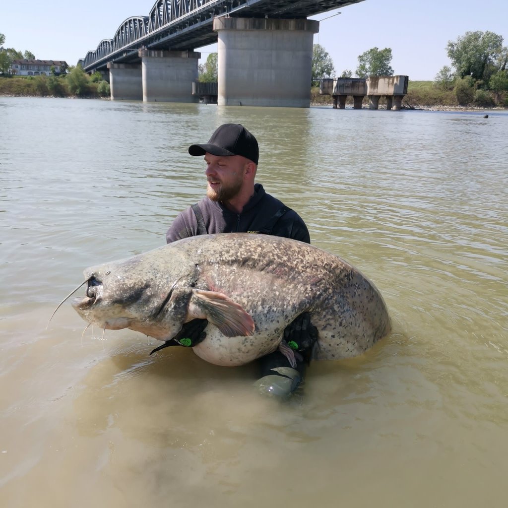 Dario Stolp musste auch ins Wasser, um den Wels herauszuholen.