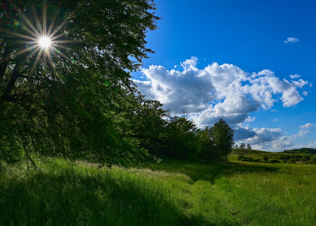 Die Menschen in Sachsen-Anhalt starten mit Sonnenschein in den Montag und beenden ihn mit Gewitter.