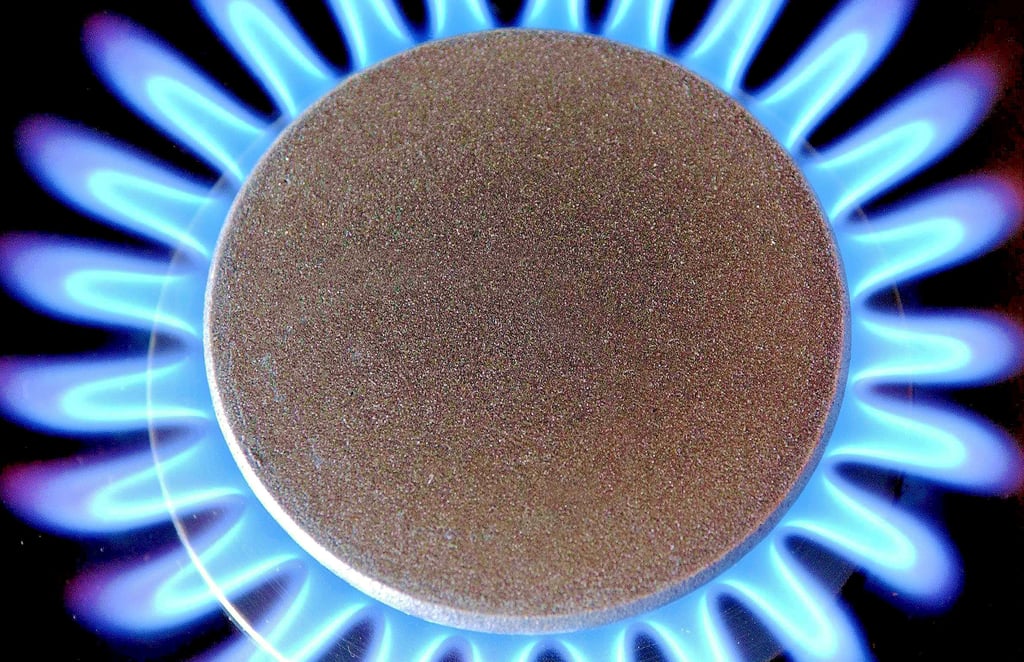 Wenn es ums Heizen geht, spielen in Magdeburg fossile Brennstoffe wie Erdgas eine entscheidende Rolle. Das soll sich ändern. Viele Stadträte fordern für den Weg dahin ein Wärmekonzept.