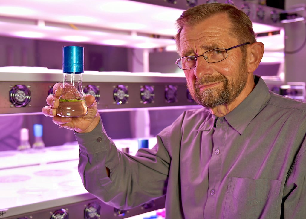 Pflanzenforscher Ingo Schubert mit Wasserlinsen in einem speziellen Anzuchtraum in Gatersleben.