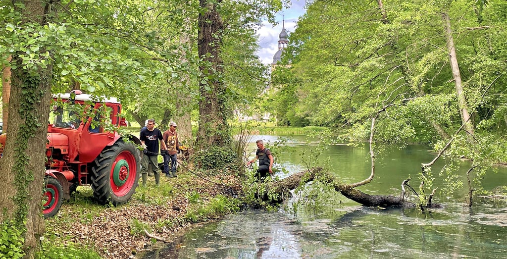 Mitglieder des Möckeraner Angelvereines holen Bäume aus den Parkgewässern.