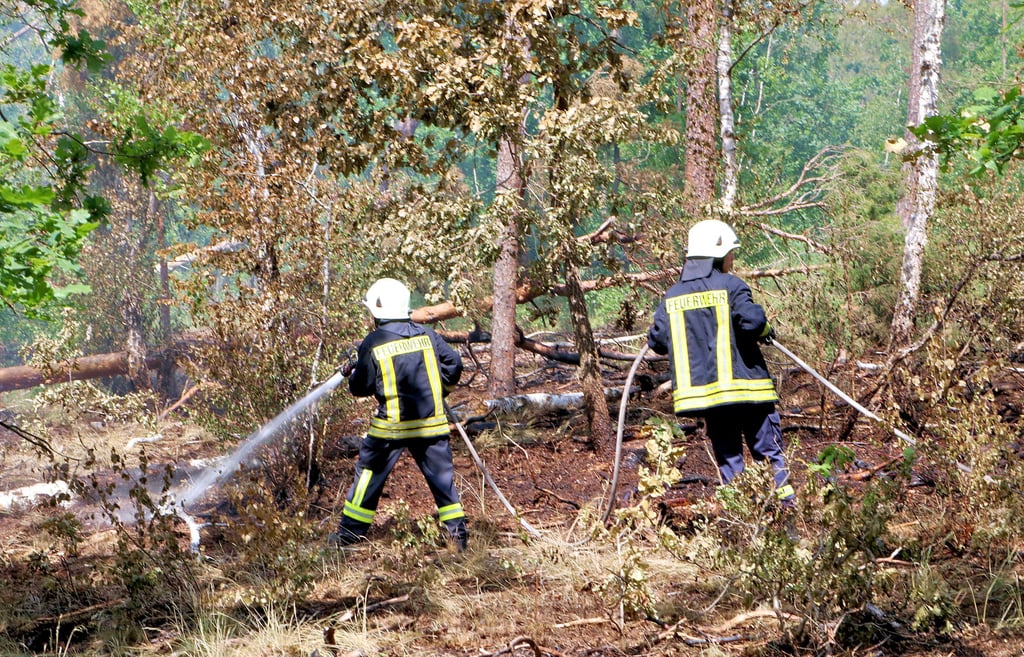 Wieder musste ein Waldbrand bei Löben gelöscht werden, diesmal erneut an der Straße nach Mönchenhöfe. Es ist von Brandstiftung auszugehen.