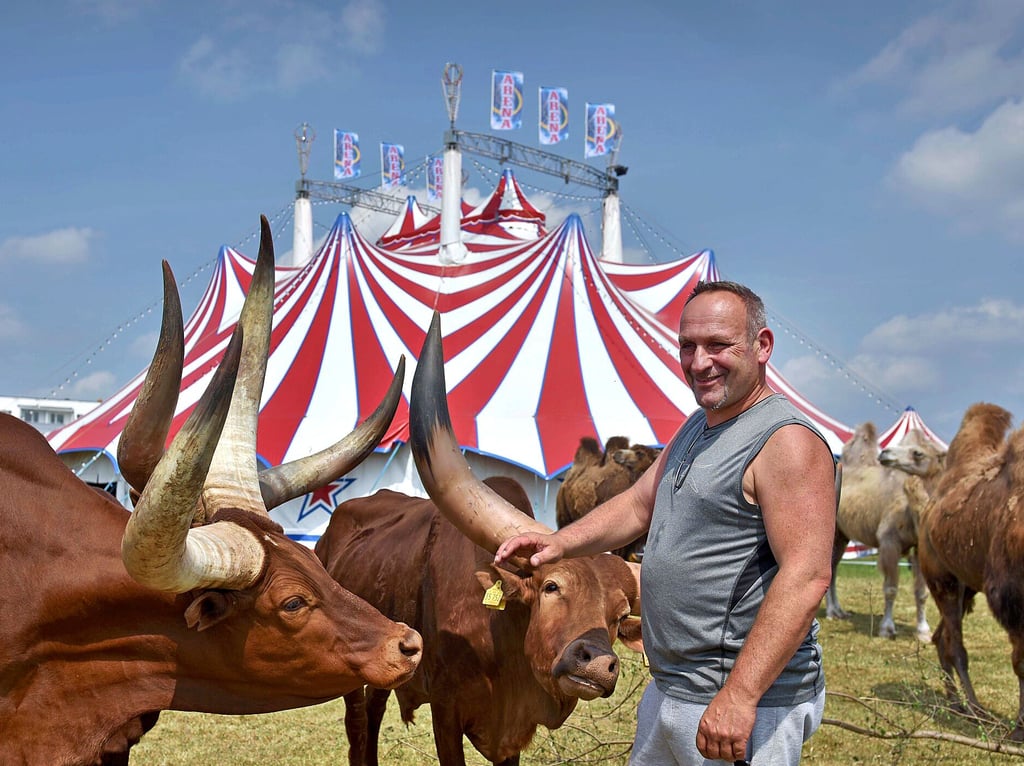 Marcus Frank ist der Direktor des „Circus Arena“ - hier mit seinen Tieren.
