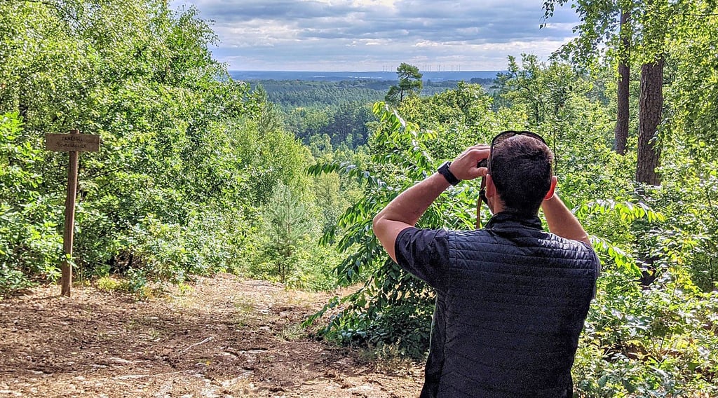 Wald, soweit das Auge reicht, ist vom Aussichtspunkt auf dem Stakenberg aus zu sehen.