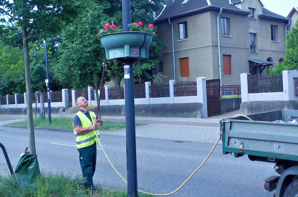 Robert Strauß von der gleichnamigen Gartenbaufirma aus Bobbau bewässert die Ampeln an der Leipziger Straße.