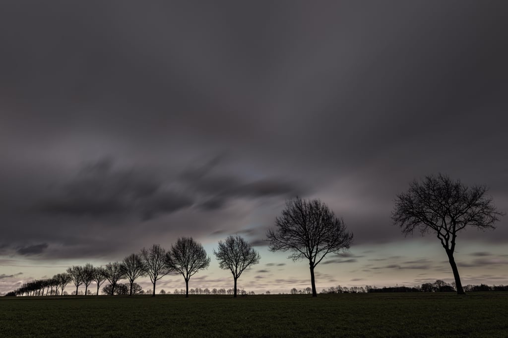 Mit Blick auf die Pfingsttage am kommenden Wochenende erwarten die Meteorologen eine "auflebende Schauer- und Gewittertätigkeit".