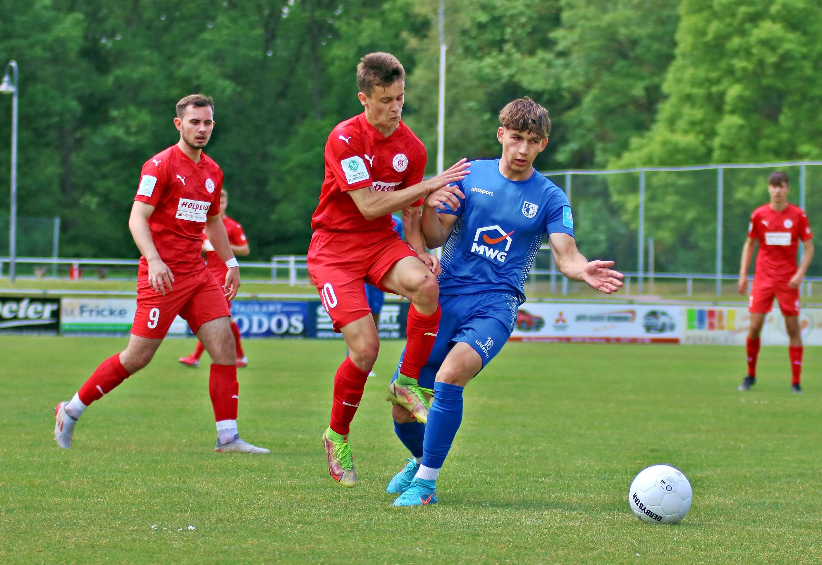 Hallescher FC: A- Und B-Junioren Steigen Aus Bundesliga Ab