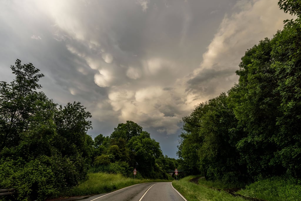 Die neue Woche startet mit ungemütlichem Wetter in Sachsen-Anhalt. Es muss auch mit Gewitter gerechnet werden.