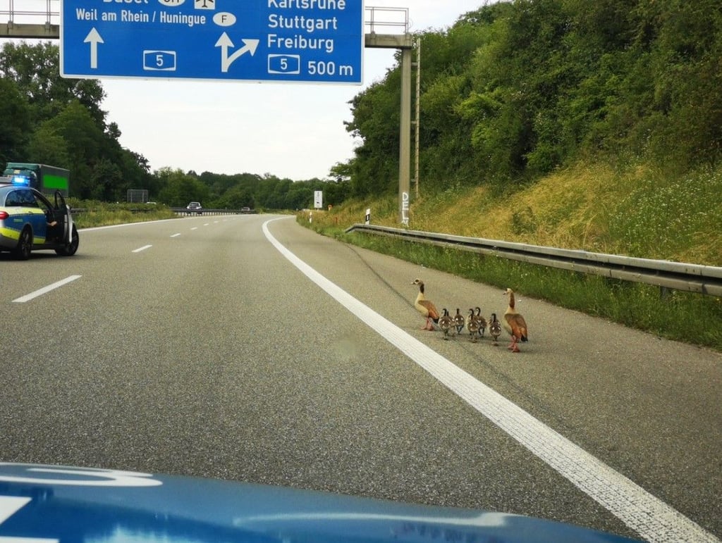 Die A98 bei Eimeldingen wurde von der Polizei gesperrt.