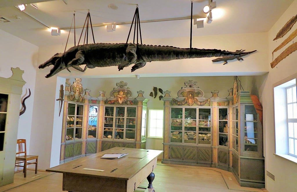 In den Franckeschen Stiftungen kann man heute noch eine historische Wunderkammer bestaunen.