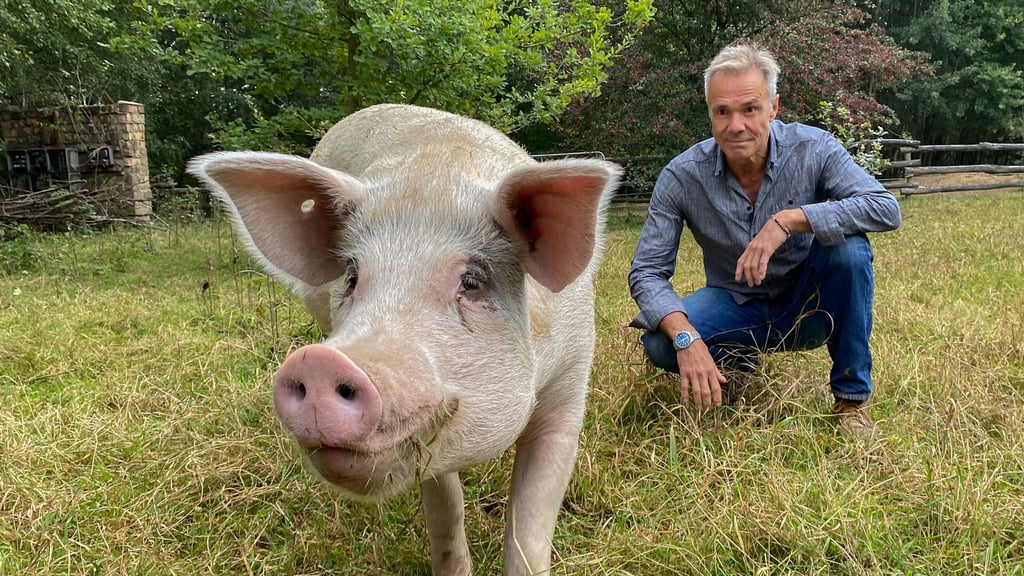 Schauspieler Hannes Jaenicke im „Land der Tiere“, einem Gnadenhof speziell für Nutztiere in Mecklenburg-Vorpommern.