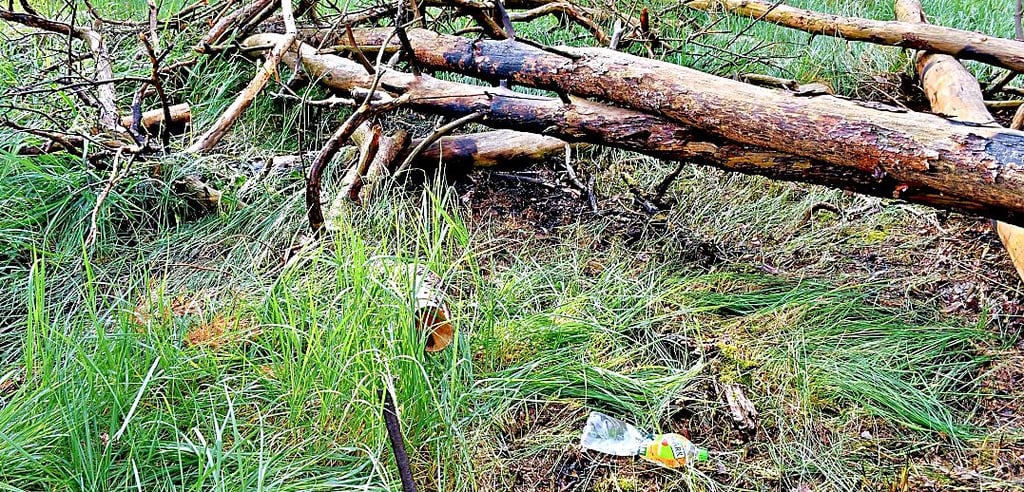 Schon wieder hat es nahe Gödnitz gebrannt. Unbekannte haben haben umgestürzte Bäume angezündet. Die Polizei hat eine Flasche mit Resten eines Brandbeschleunigers gefunden, wohl Benzin.
