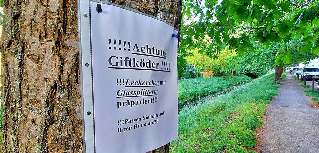 An der Uchte in der Grabenstraße in Stendal wird mit Zetteln vor Giftködern gewarnt.