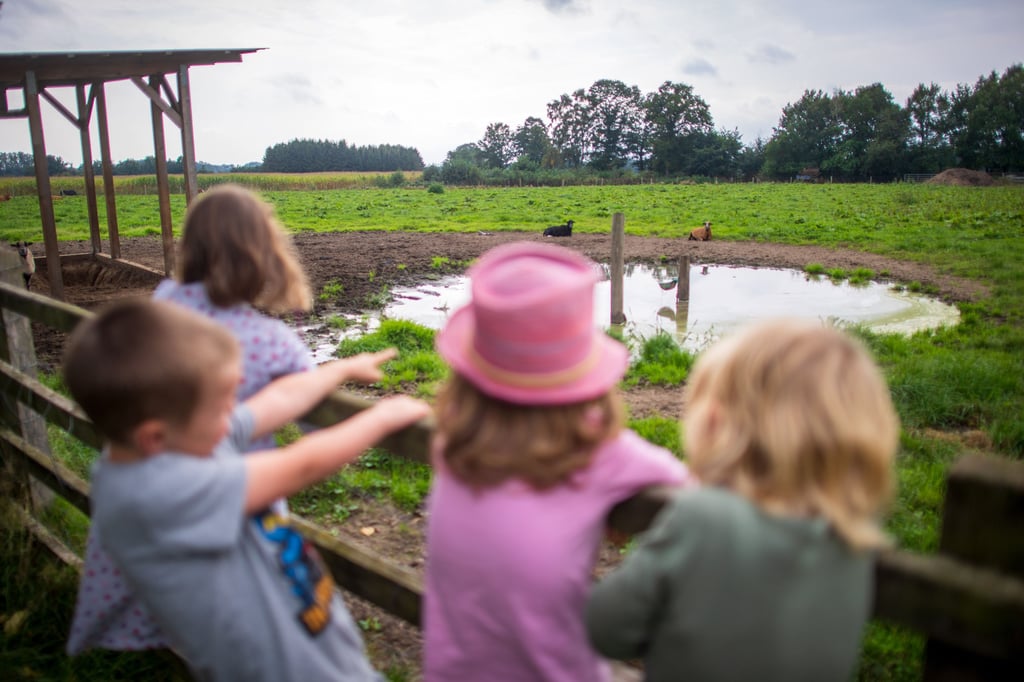 Mit Hilfe der 2006 initiierten Diakonie-Spendenaktion wurden bis 2021 insgesamt 2.600 Urlaube gefördert, vom Wanderausflug in die Umgebung bis zur mehrtägigen Reise an Ostsee oder Alpen.