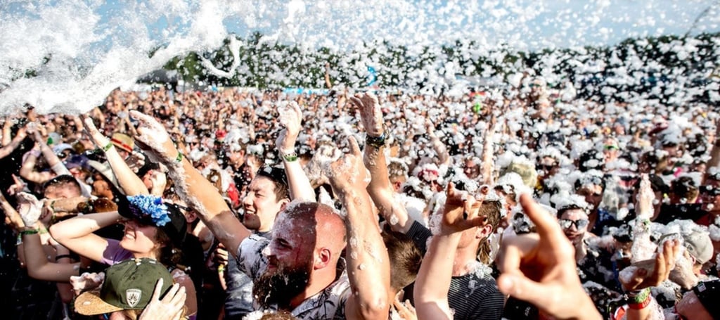 Rund um das Love-Music-Festival in Magdeburg musste die Polizei bei verschiedenen Straftaten eingreifen.