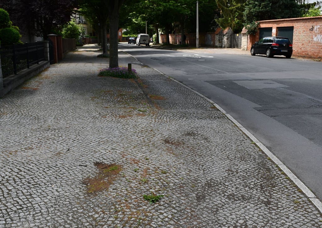 Die Kleine Straße in Magdeburg-Stadtfeld.