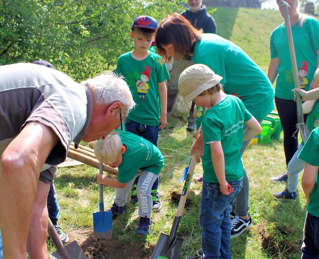 Vollen Einsatz zeigten die Mädchen und Jungen vom Kinderparlament der beiden naturnahen Kindertagesstätten. Für das Pflanzloch mussten sie sich tüchtig anstrengen. Naturfreund Werner Schier (l.) half.