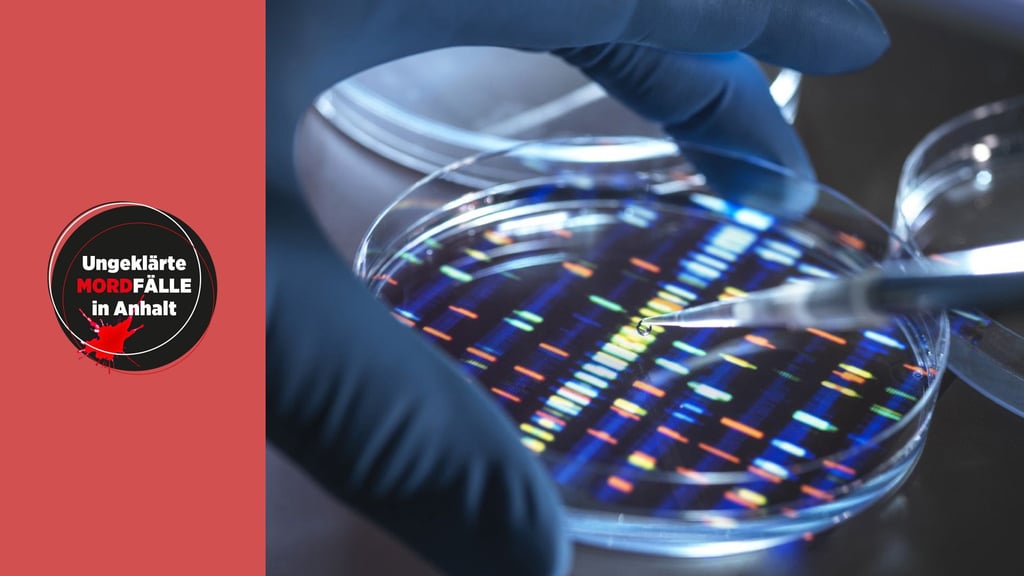 Welche Relevanz haben DNA-Spuren in der Mord-Ermittlung?