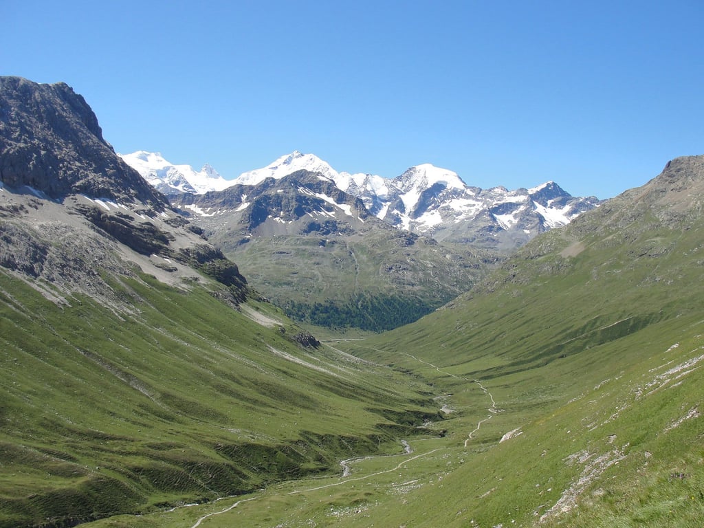 Die Alpen verfärben sich wegen des Klimawandels von Weiß zu Grün. Das berichten Forscher der Universitäten von Lausanne und Basel.