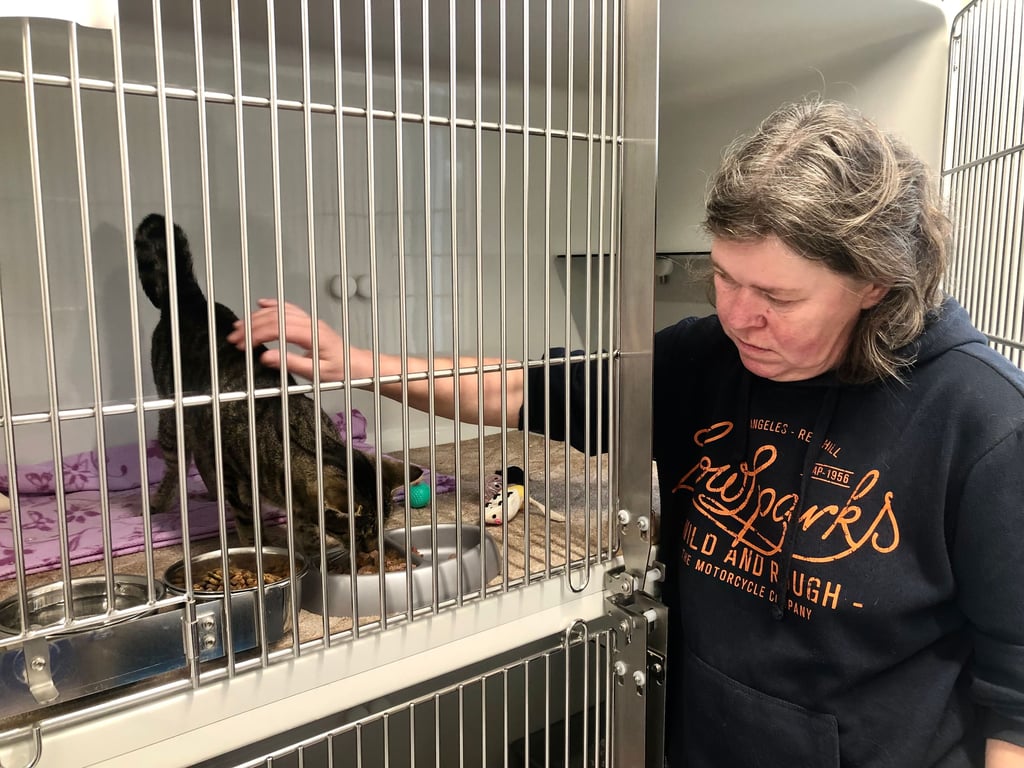 Um die Tiere optimal zu versorgen und medizinisch behandeln zu lassen, hier Tierpflegerin Jacqueline Just in der Quarantäne, ist das Tierheim Zeitz auf Spenden angewiesen - und auf seine Trödelmärkte.