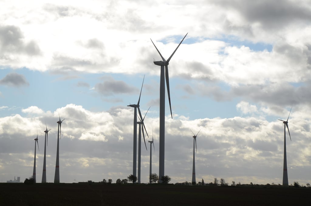 Der Windpark bei Brumby soll erweitert werden. So kann grüner Wasserstoff erzeugt werden.