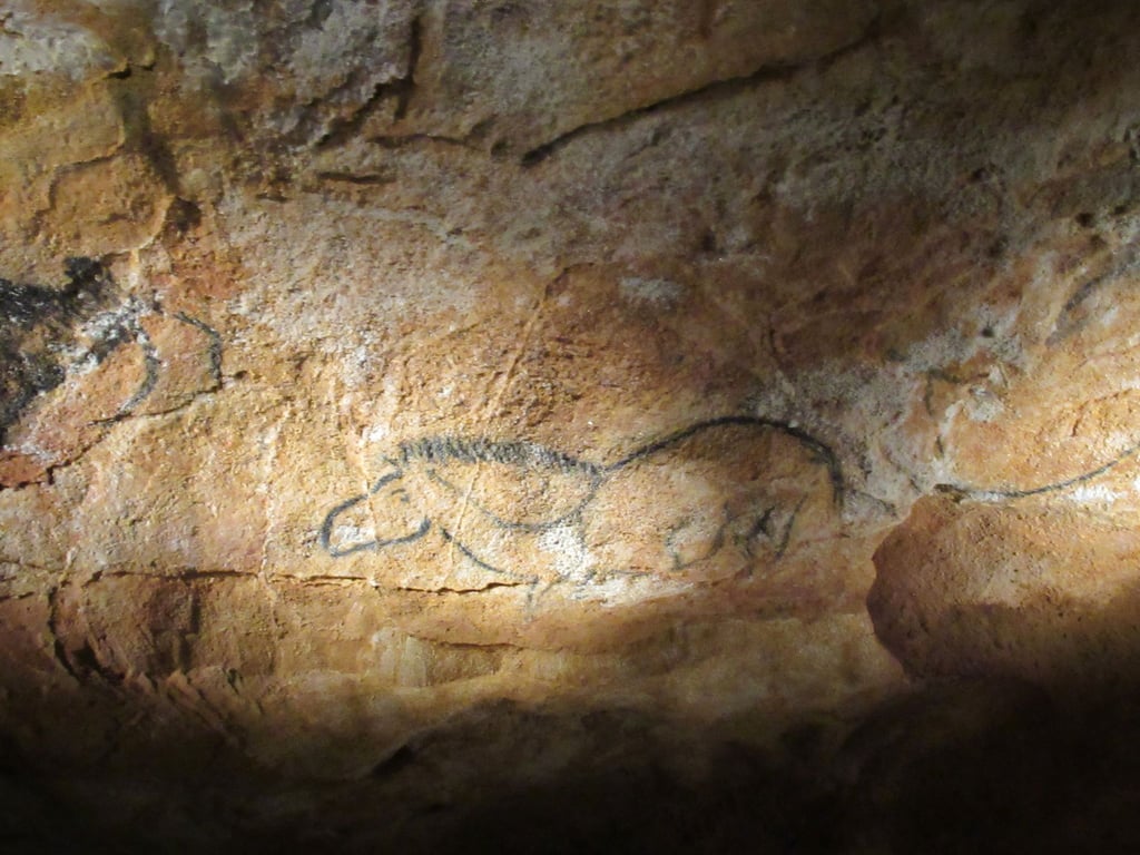 Eine Reproduktion einer Höhlenzeichnung ist in einer Nachbildung der Cosquer-Höhle in Marseille.