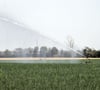 Es ist zu trocken: der Landkreis Anhalt-Bitterfeld schränkt Bewässerung und Wasserentnahme drastisch ein. Ein Feld gießen ist ab sofort nicht mehr ohne weiteres erlaubt.
