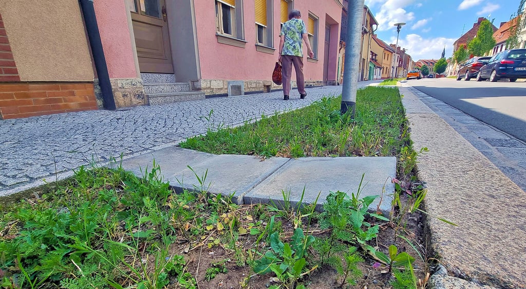 Straßen und Gehwege „Auf dem Graben“ sorgen nach dem Neubau für Freude, nur die Grünanlagen nicht. Unkraut wächst hier statt Gras.