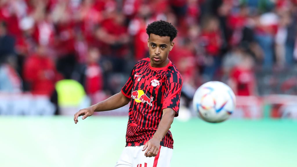 Tyler Adams war nicht immer erste Wahl bei Domenico