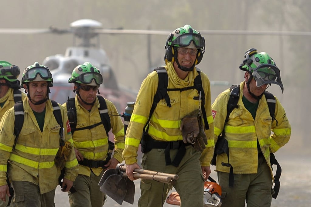 Gefährlicher Einsatz: Bei dem Waldbrand in der Touristenhochburg Costa del Sol wurden drei Feuerwehrleute verletzt.