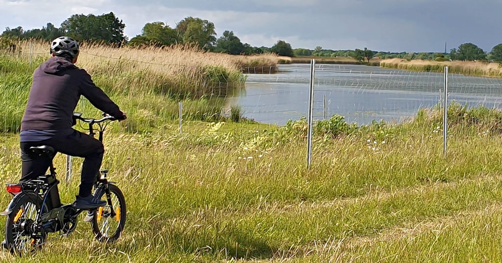 Was hat es mit den Zäunen am Umflutkanal im Bereich Pechau/Zipkeleben in Magdeburg auf sich? Der zuständige Landesbetrieb für Hochwasserschutz bezieht Stellung zu den großflächigen Einzäunungen im Umflutgelände, das zugleich Landschaftsschutzgebiet ist.